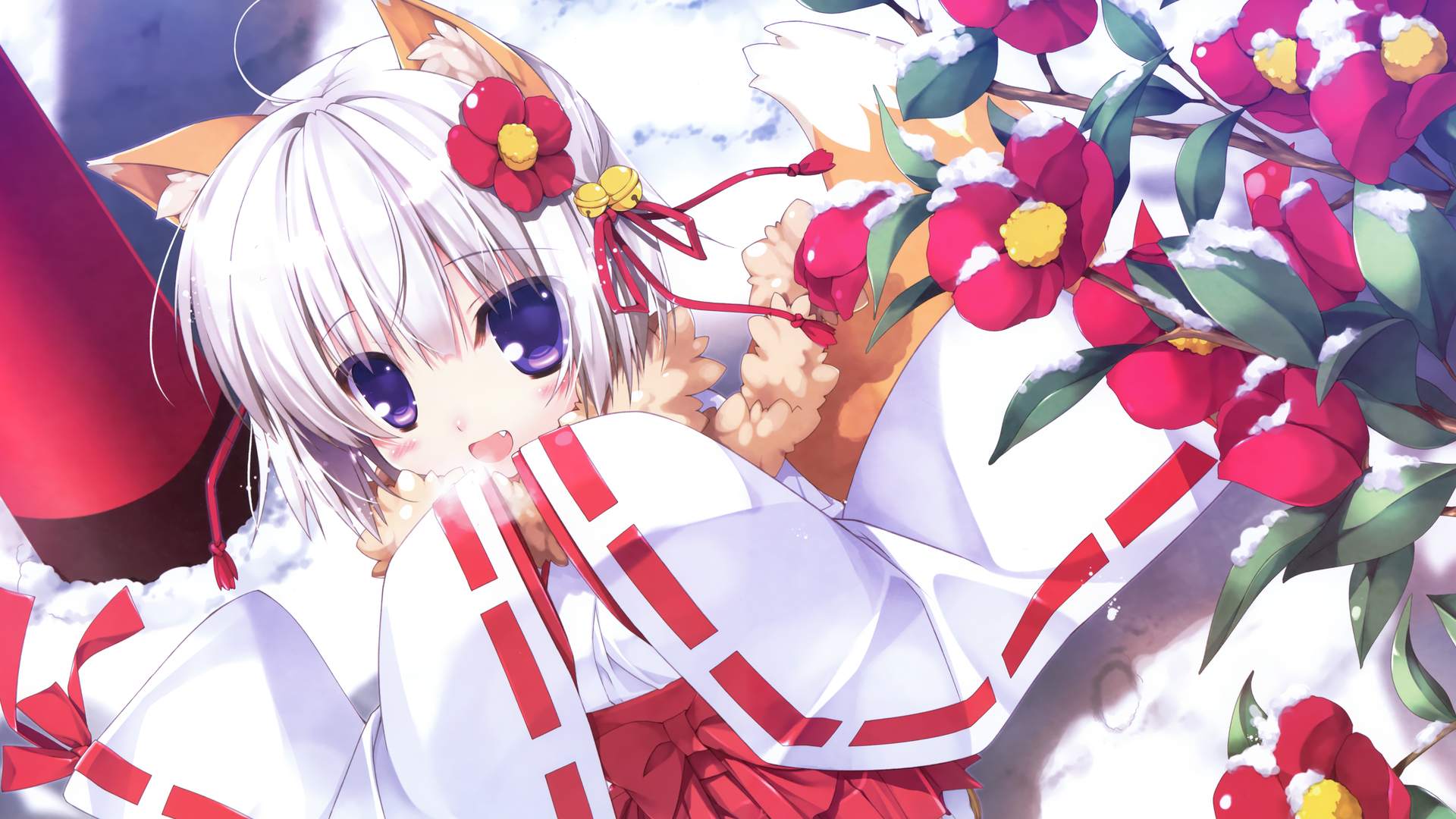 boxmoe_header_banner_img